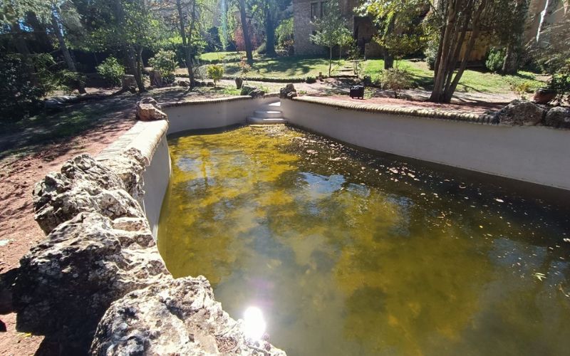 agua piscina verde algas problema