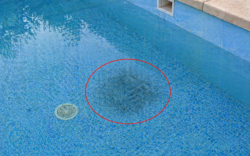 fondo piscina zona sospechosa fuga