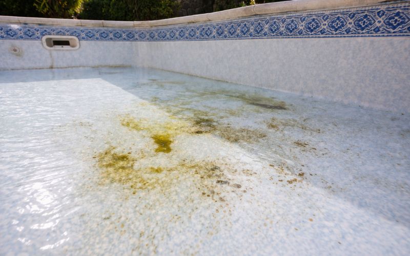 manchas piscina fondo detalle oscuro