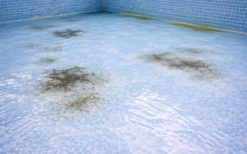 manchas piscina persistentes superficie vaso